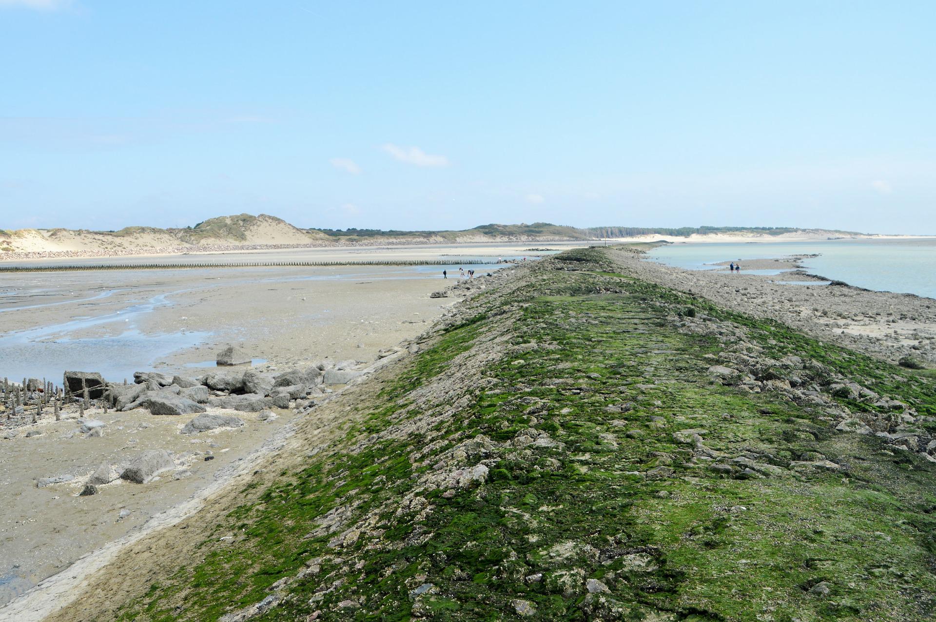 baie d'authie